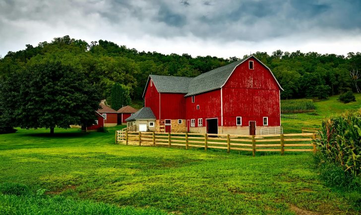 Barn Day