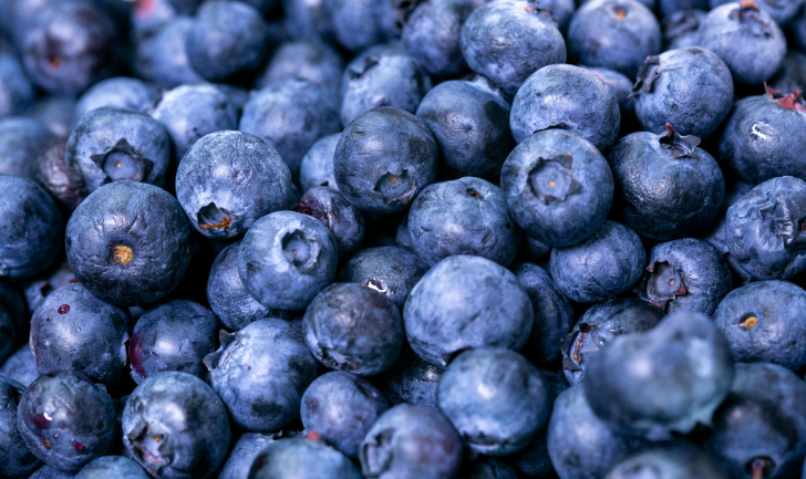 Pick Blueberries Day