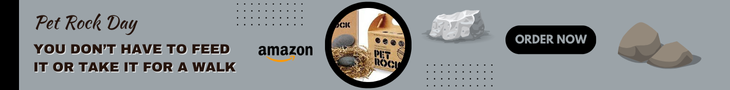 Amazon Pet Rock