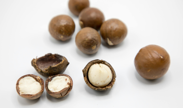 Macadamia Nuts