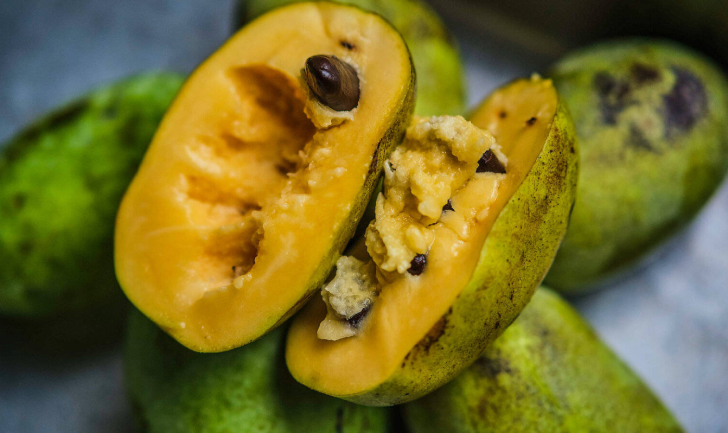 PawPaw Fruit