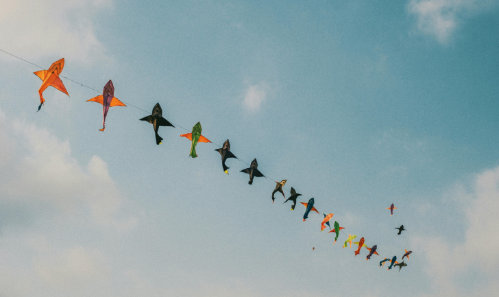 Kites
