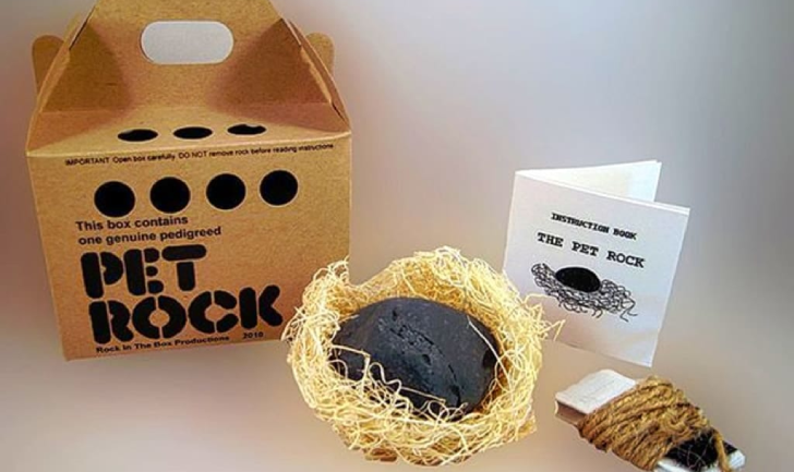 Pet Rock
