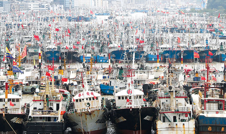 Fishing Fleet